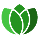 Ikona